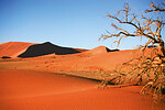 NAMIBIA