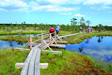 Di., 04.05.2021 - Wandern im Baltikum - Birute Luskeviciene 