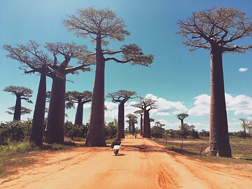 Sa., 06.06.2020 - Madagaskar - Nadine Ebner