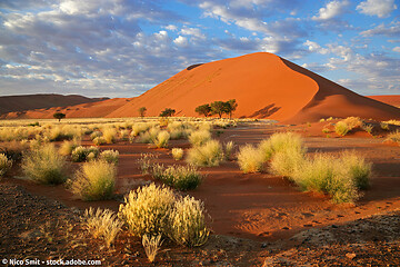 Do., 18.02.2021 - Namibia - Dr. Harald Teubenbacher