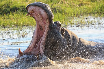 Do., 09.04.2020 - Namibia-Botswana - Mag. Peter Brugger