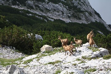 Di., 23.06.2020 - Österreich - Mag. Johannes Schierl