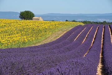 Fr., 26.06.2020 - Provence - Christian Kneissl