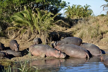 Sa., 09.05.2020 - Südafrika - Isolde Spitzbarth