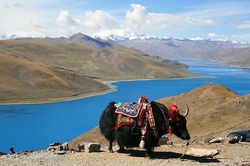 Mo., 18.05.2020 - Tibet - Mag. Enrico Gabriel