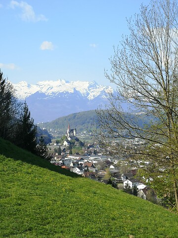 Mi., 13.05.2020 - Vorarlberg - Harald Maikisch