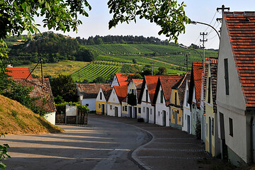 Do., 18.03.2021 - Weinviertel - Dr. Franz Halbartschlager