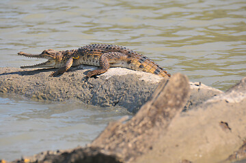 Australien: Kakadu Nationalpark (von Gottfried Bauer)	