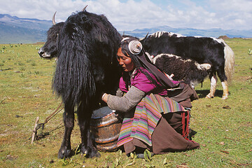Tibet: Kham (von Anton Eder)