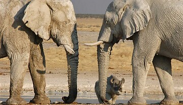 NAMIBIA | Beppo Niedermeier