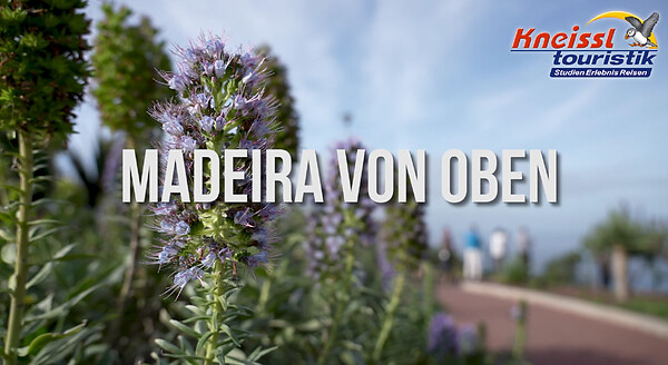 Madeira-Drohne_Thumbnail.jpg