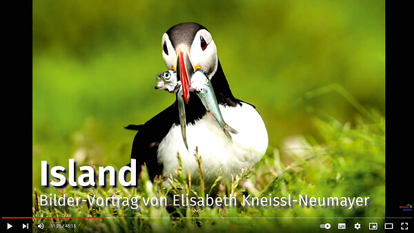 EK_Island_Thumbnail.jpg