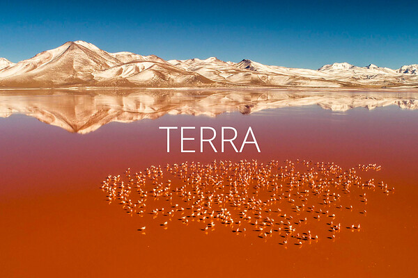 terra_michaelmartin.jpg