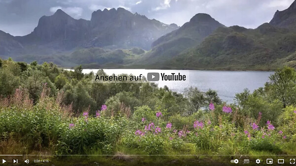 Skandinavien-Video2(C)MagGuenterGruener.jpg