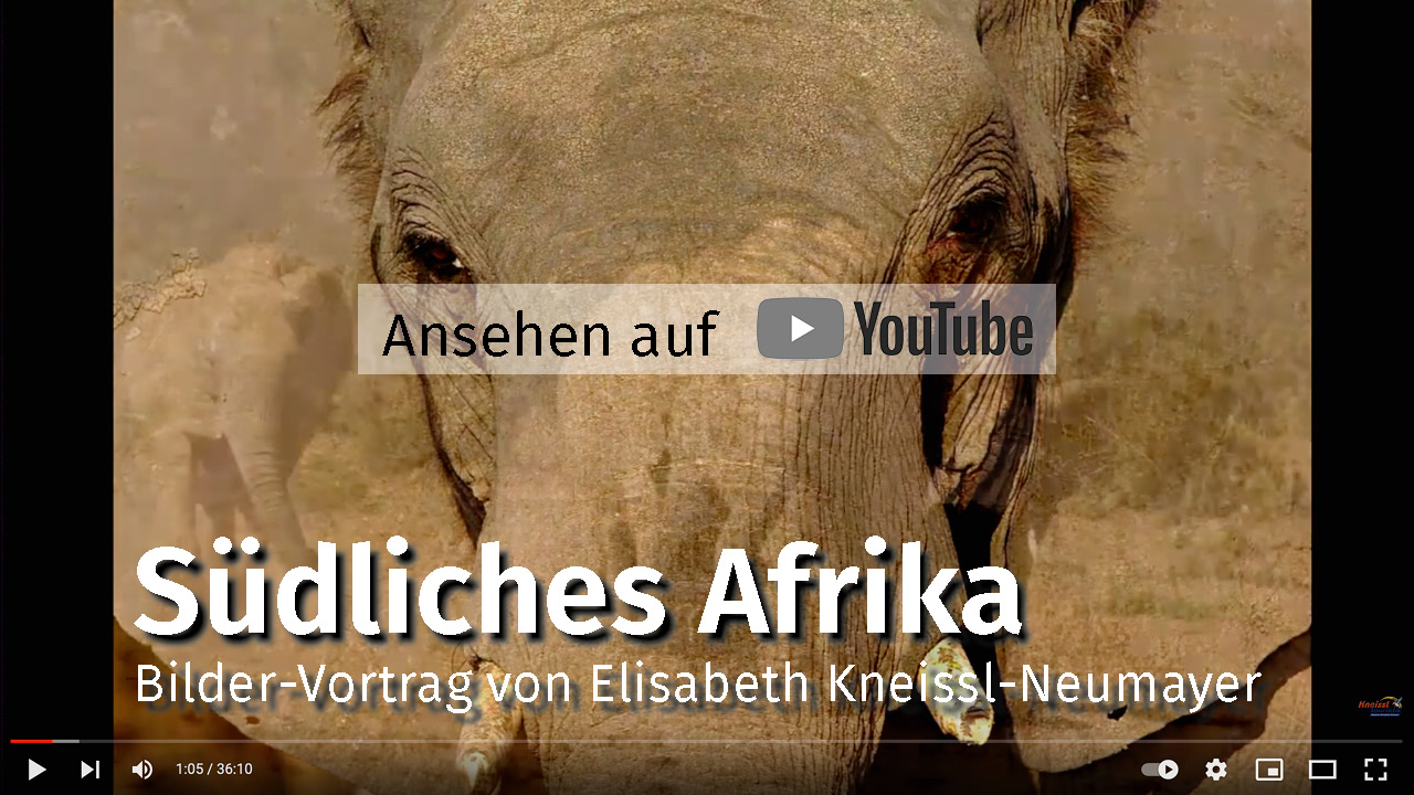 Video_SuedlichesAfrika-EK1.jpg