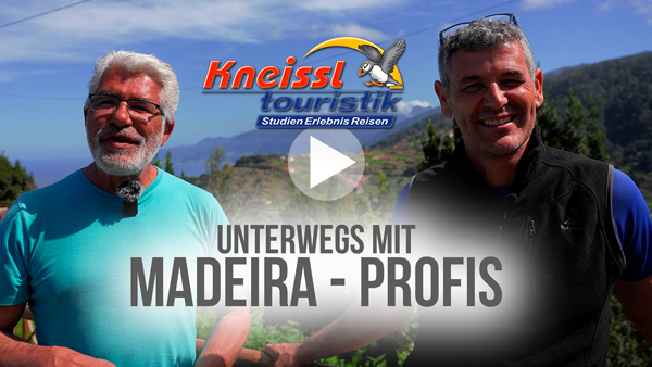 Madeira-Profis-Button.jpg