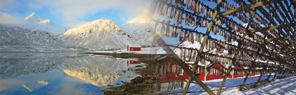 Lofoten © Mag. Peter Brugger | Stockfischstände auf den Lofoten © Hurtigruten/ Johnny Mazilli