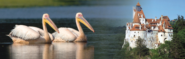 Pelikane im Donaudelta © Christian Kneissl | Bran, Törzburg © Rumän. FV-Amt