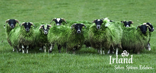 StPatricksDay.jpg