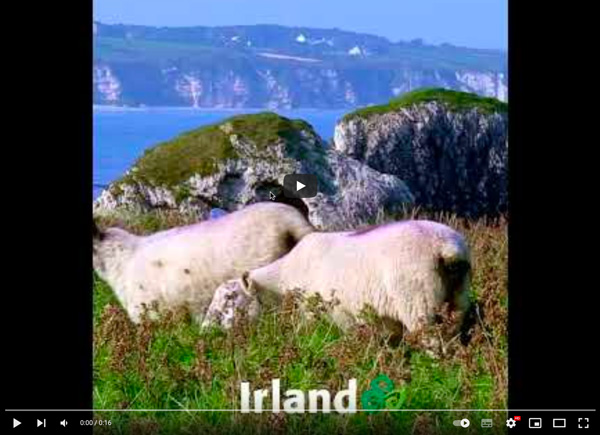 Video_TourismIreland.jpg