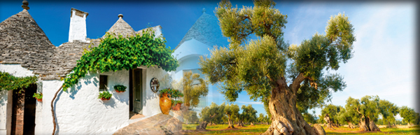 Alberobello © Emi Cristea | www.Emiphotostock.com/Fotolia.com | Olivenbaum © Samuele Gallini/Fotolia.com