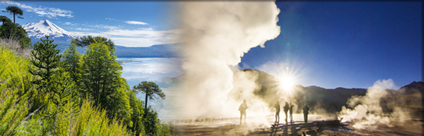 Araucaria-Wald in Mittelchile © NoraDoa/Fotolia.com | Tatio, Geysire © sergeyonas/Fotolia.com