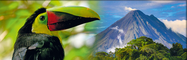 Tukan © Peter Sehnal | Vulkan Arenal © photodiscoveries/Fotolia.com