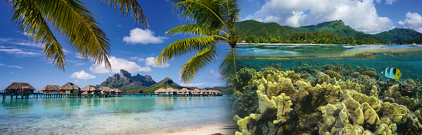 Strand auf Bora Bora (C) Mike Liu/Fotolia.com | Unterwasserwelt in der Lagune von Huahine (C) damedias/Fotolia.com